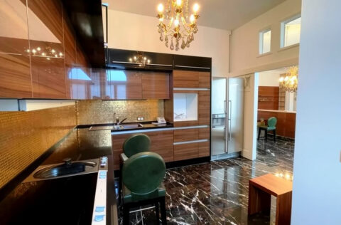 modern kitchen with Gaggenau appliances in apartment for sale in Kyiv, Volodymyrska St 20/1-A Shevchenkivskyi district, premium property Kyiv;