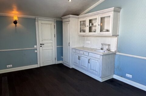 Kitchen space in apartment for sale in Kyiv, Volodymyrska St 45, Shevchenkivskyi District