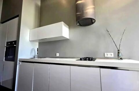 kitchen apartment for sale in Kyiv Striletska Street 7/6 separate kitchen historic centre modern renovation