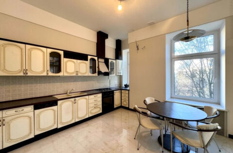 Modern kitchen in apartment for sale in Kyiv, Reitarska St 28, fully equipped interior