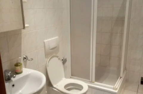 Vestor.Estate bathroom at Kruhlouniversytetska 7 pre-revolutionary Kyiv real estate