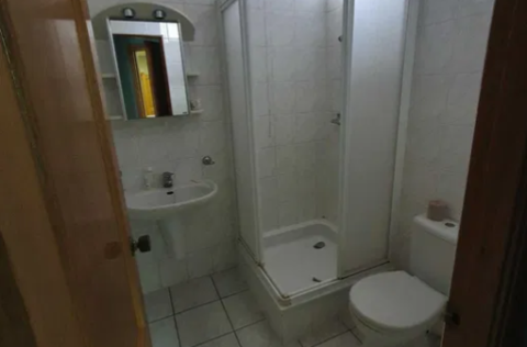 Vestor.Estate bathroom at Kruhlouniversytetska 7 pre-revolutionary Kyiv real estate