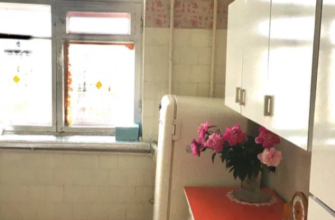 Kitchen in a Stalinka apartment in Kyiv Centre