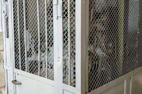 Lift in historic building in Kyiv, Yevhena Chykalenka St., 25