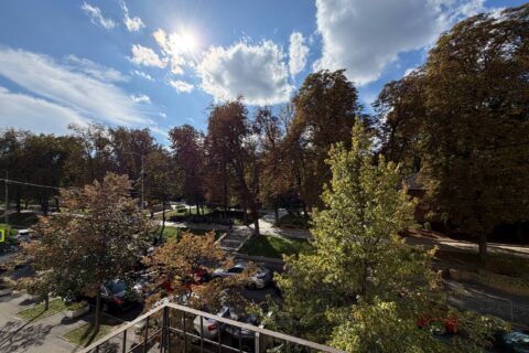 frontyard_
