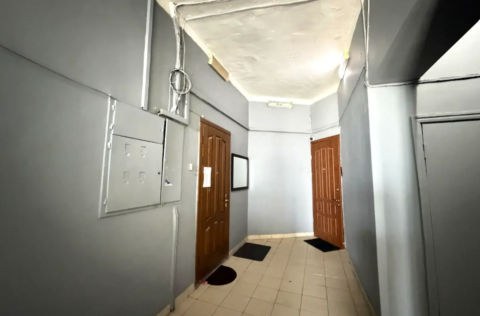 Entry door of a pre-revolutionary apartment on Kostelna Street, Kyiv