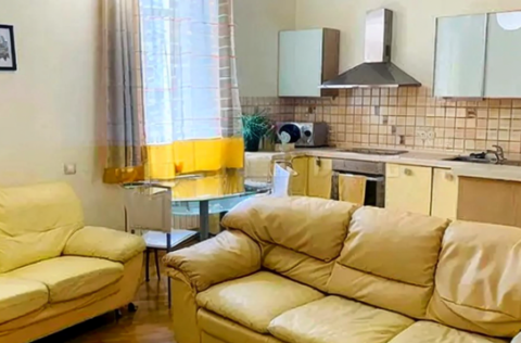 Open-plan kitchen-living room in an apartment on Arkhitektora Horodetskoho Street 10/1, Kyiv