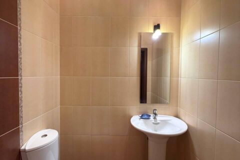 toilet_17