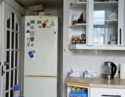 Vestor.Estate kitchen at Liuteranska St 17, Stalinka, Kyiv real estate